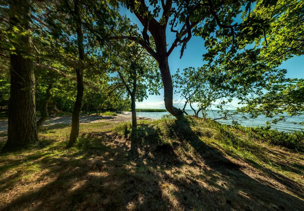 traumHaff Historischer Kahnschifferhof mit Kamin, liebevoll restauriert Vogelsang-Warsin Exterior foto